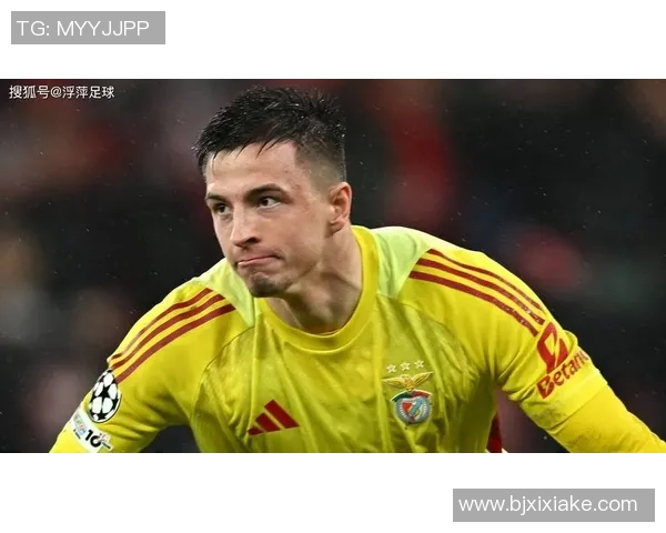 中超精彩对决皇马3-0本菲卡绝杀瞬间引发全场狂欢数据深度解析